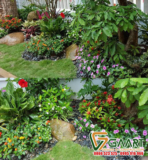 Cung cấp cây- thi công sân vườn tại Hà Nội