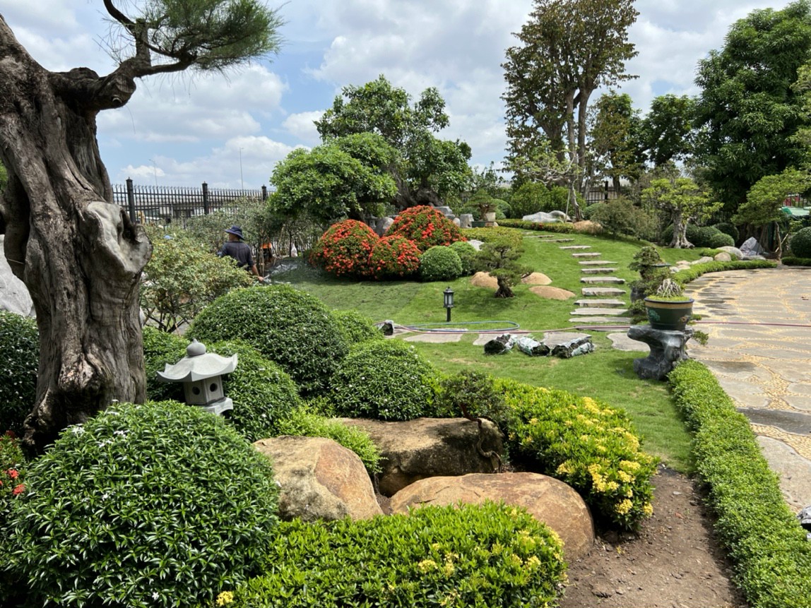 Thiết kế công sân vườn đẹp Thanh Hoá