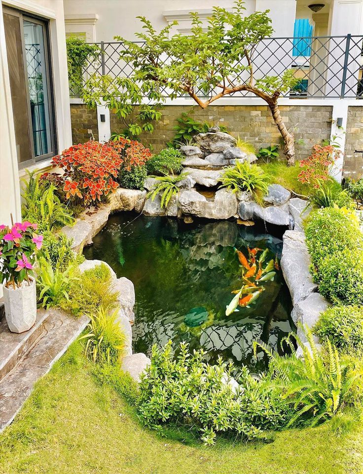 Sân vườn hồ cá đẹp